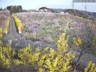 03906949-0169-4F0C-B929-E7B989CDB720.jpeg