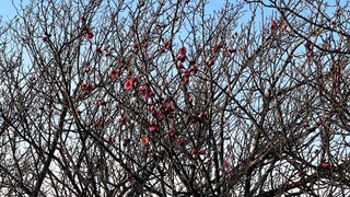238F0E87-56A5-40CE-A4DB-BE984D2ED42F.jpeg