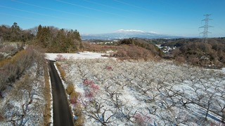29D5AF75-7BDC-49D3-9C20-88058692DB45.jpeg