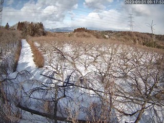 7520FDD6-4615-4BAD-B0D4-1ACD4865A598.jpeg