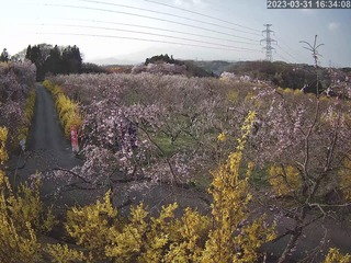 D79E6A92-E85F-49E7-9C37-295C7EBBB38B.jpeg