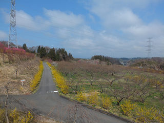 DSCF2617.jpg