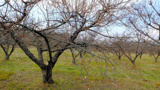 DSCF7779.JPG