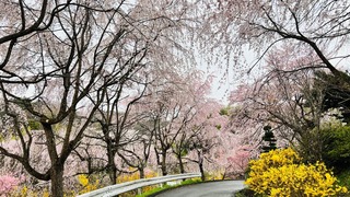 IMG_5389.jpeg