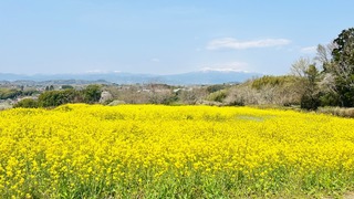 IMG_5498.jpeg