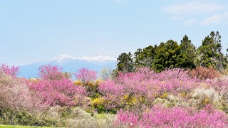 IMG_5499.jpeg