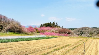 IMG_5500.jpeg
