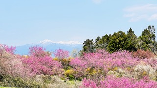 IMG_5501.jpeg