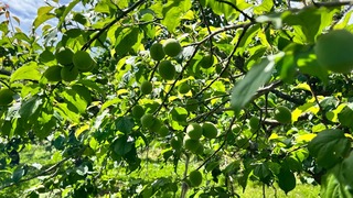 IMG_6173-d9dc0.jpeg