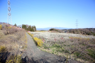 IMG_6873.JPG