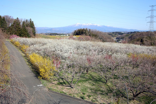 IMG_6875.JPG