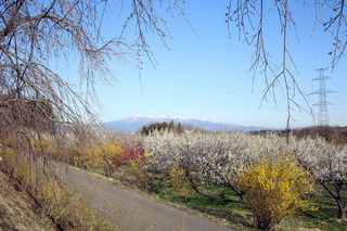 IMG_6891.JPG