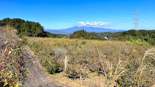IMG_7383.jpeg