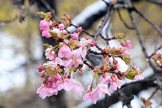 IMG_9879.JPG